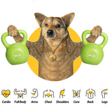 10lbs Kettlebell Set, Strength Training Kettlebells Weight Set For Women, Vinyl Coated Kettle Bell For Home Gym Workout Weight Lifting Equipment, Comfortable Grip Wide Handle Weights